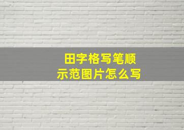 田字格写笔顺示范图片怎么写