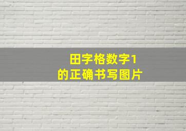 田字格数字1的正确书写图片