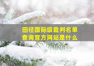 田径国际级裁判名单查询官方网站是什么