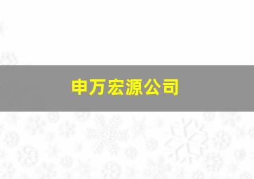 申万宏源公司