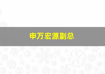 申万宏源副总