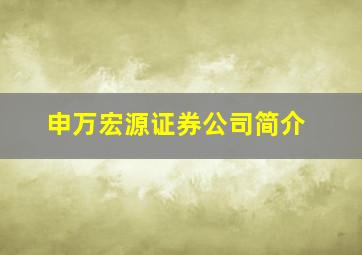 申万宏源证券公司简介