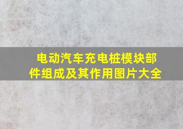 电动汽车充电桩模块部件组成及其作用图片大全