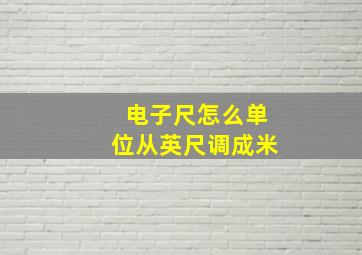 电子尺怎么单位从英尺调成米