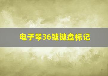 电子琴36键键盘标记