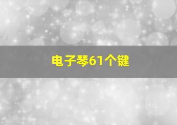 电子琴61个键