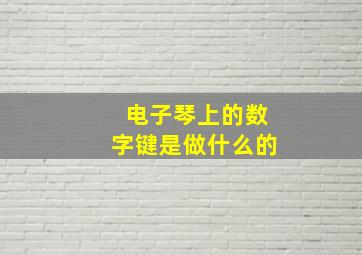 电子琴上的数字键是做什么的