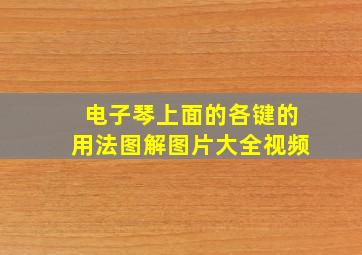 电子琴上面的各键的用法图解图片大全视频