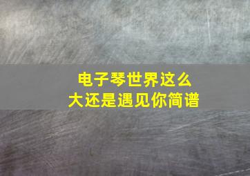 电子琴世界这么大还是遇见你简谱