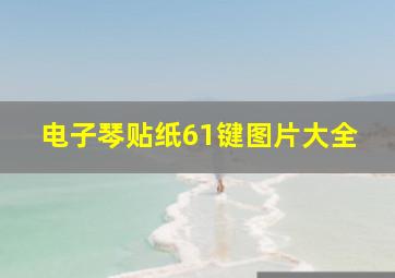 电子琴贴纸61键图片大全