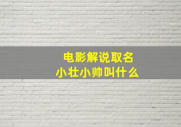 电影解说取名小壮小帅叫什么