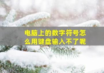 电脑上的数字符号怎么用键盘输入不了呢