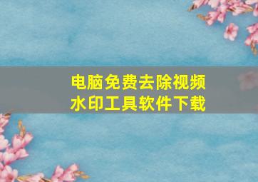 电脑免费去除视频水印工具软件下载