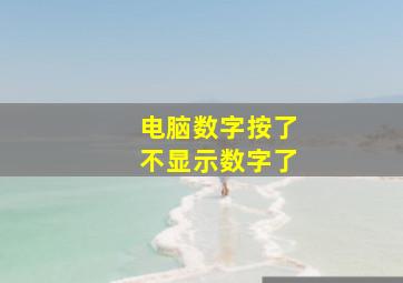 电脑数字按了不显示数字了