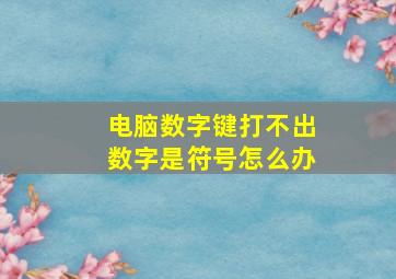 电脑数字键打不出数字是符号怎么办