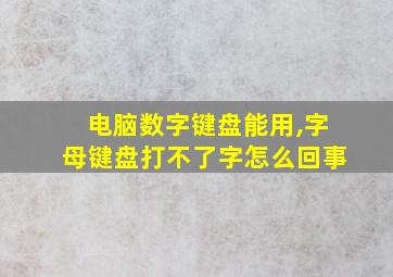 电脑数字键盘能用,字母键盘打不了字怎么回事