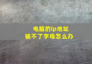 电脑的ip地址输不了字母怎么办