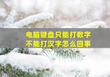 电脑键盘只能打数字不能打汉字怎么回事