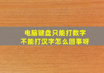 电脑键盘只能打数字不能打汉字怎么回事呀