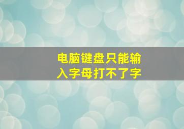 电脑键盘只能输入字母打不了字