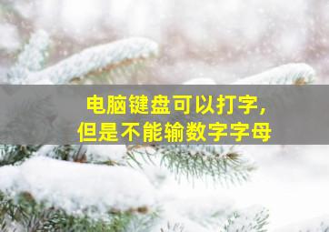 电脑键盘可以打字,但是不能输数字字母