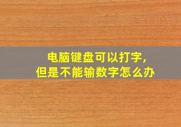 电脑键盘可以打字,但是不能输数字怎么办