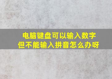 电脑键盘可以输入数字但不能输入拼音怎么办呀