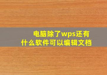 电脑除了wps还有什么软件可以编辑文档