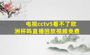 电视cctv5看不了欧洲杯吗直播回放视频免费