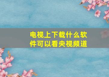 电视上下载什么软件可以看央视频道