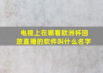 电视上在哪看欧洲杯回放直播的软件叫什么名字