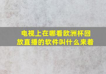 电视上在哪看欧洲杯回放直播的软件叫什么来着