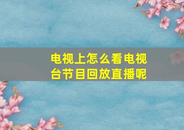 电视上怎么看电视台节目回放直播呢