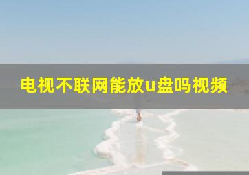 电视不联网能放u盘吗视频