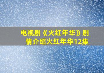 电视剧《火红年华》剧情介绍火红年华12集