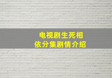 电视剧生死相依分集剧情介绍