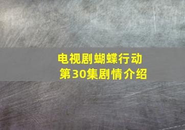 电视剧蝴蝶行动第30集剧情介绍