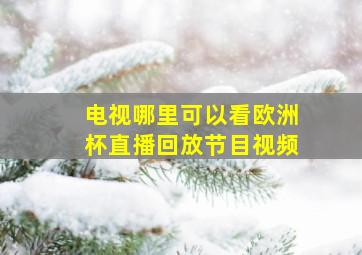 电视哪里可以看欧洲杯直播回放节目视频