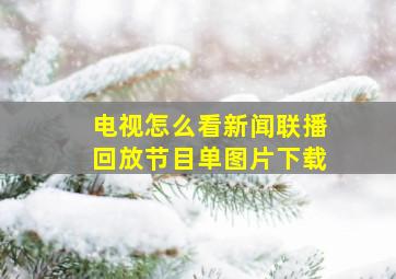 电视怎么看新闻联播回放节目单图片下载