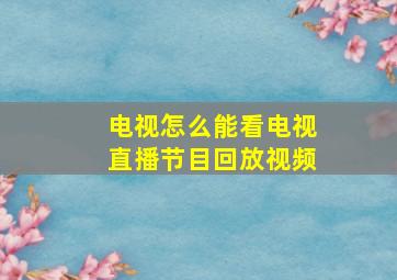 电视怎么能看电视直播节目回放视频