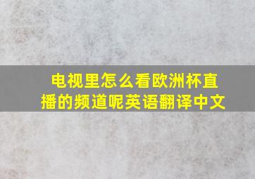 电视里怎么看欧洲杯直播的频道呢英语翻译中文