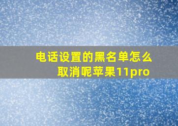 电话设置的黑名单怎么取消呢苹果11pro