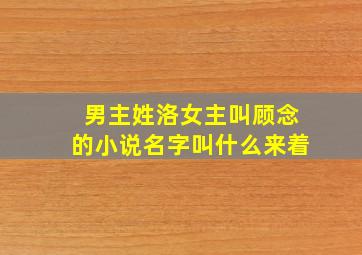 男主姓洛女主叫顾念的小说名字叫什么来着