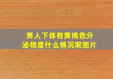 男人下体有黄褐色分泌物是什么情况呢图片