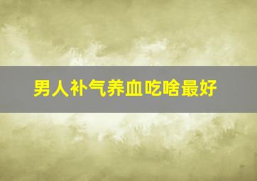 男人补气养血吃啥最好