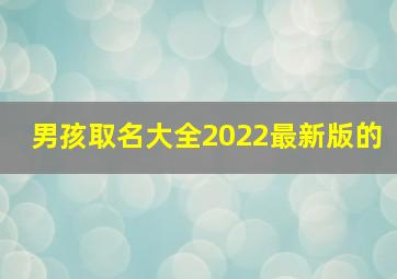 男孩取名大全2022最新版的