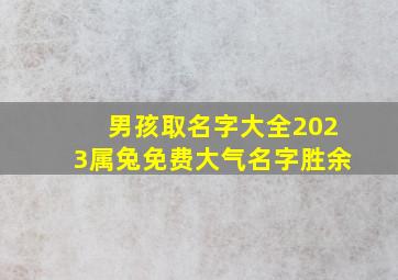 男孩取名字大全2023属兔免费大气名字胜余