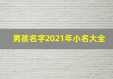 男孩名字2021年小名大全