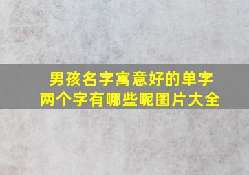 男孩名字寓意好的单字两个字有哪些呢图片大全