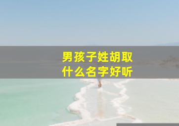 男孩子姓胡取什么名字好听